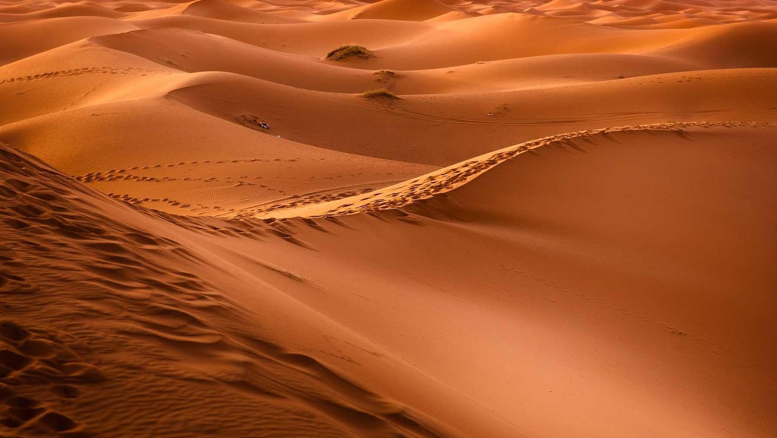 Death Valley Sand Dunes