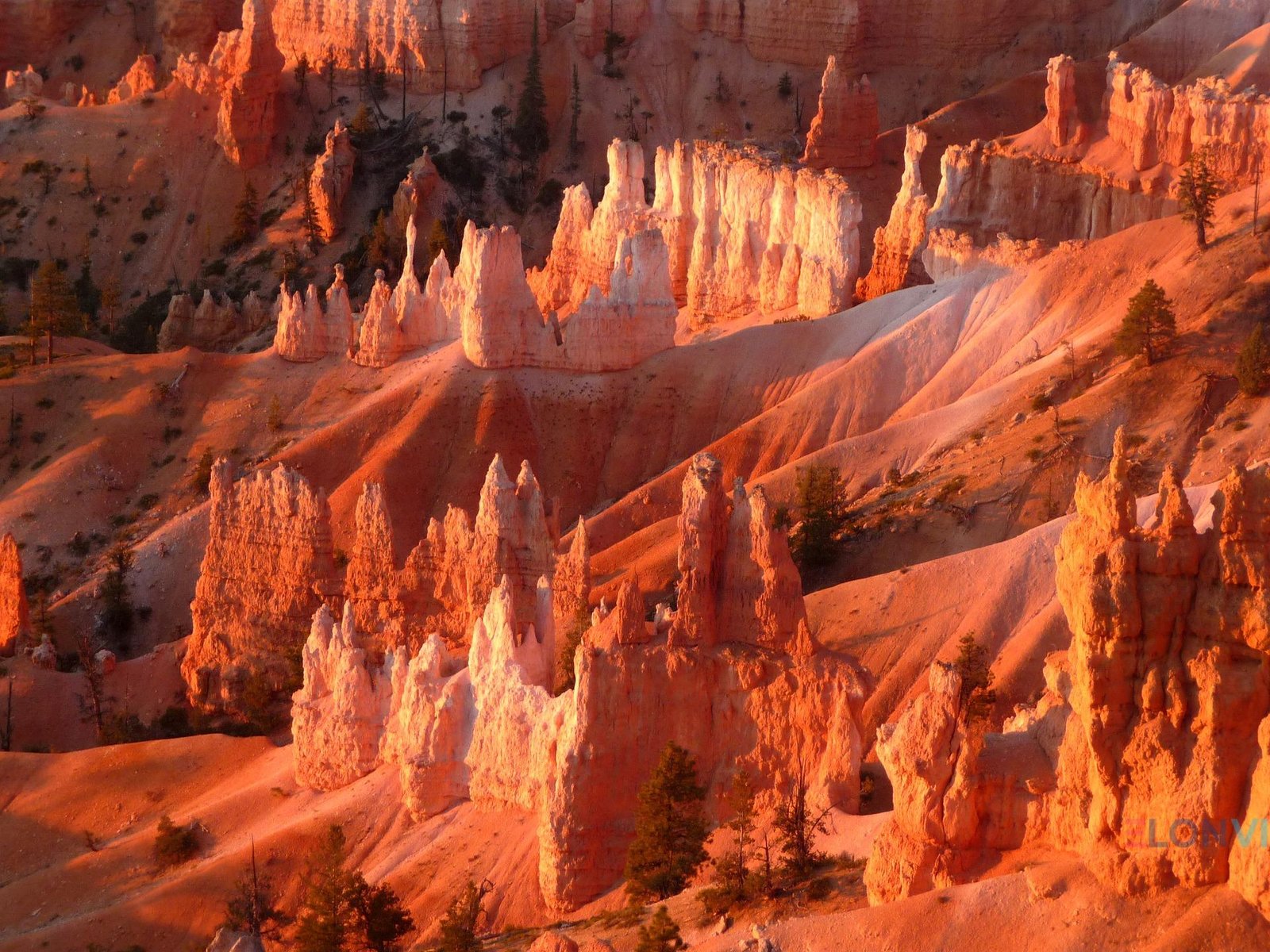 Bryce Canyon Sunrise