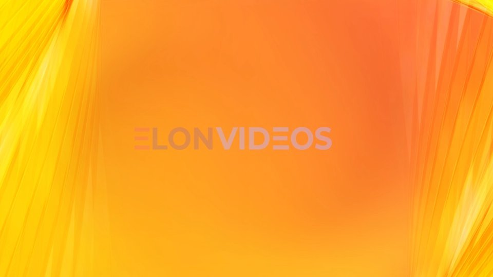 ElonVideos stock footage