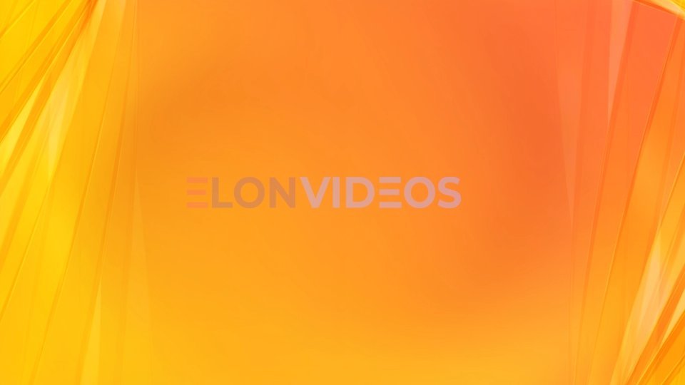 ElonVideos stock footage