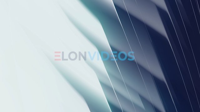 ElonVideos stock footage