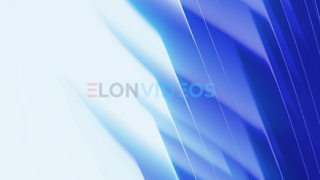 ElonVideos stock footage