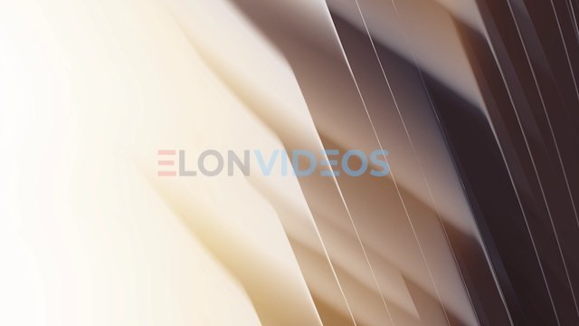 ElonVideos stock footage