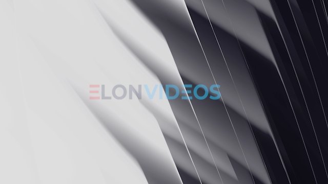 ElonVideos stock footage