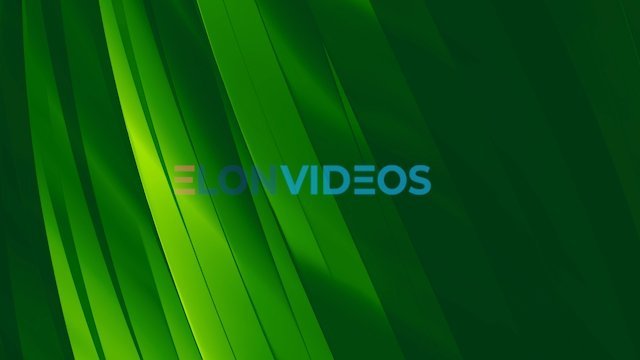 ElonVideos stock footage