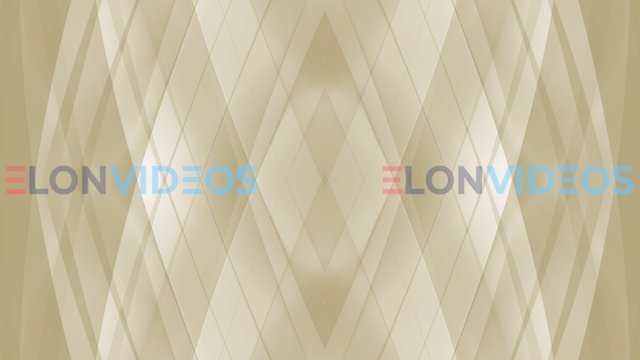 ElonVideos stock footage