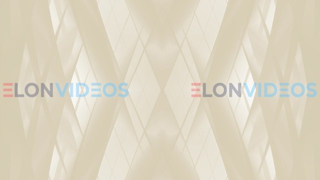 ElonVideos stock footage