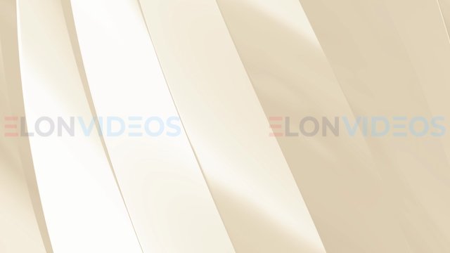 ElonVideos stock footage