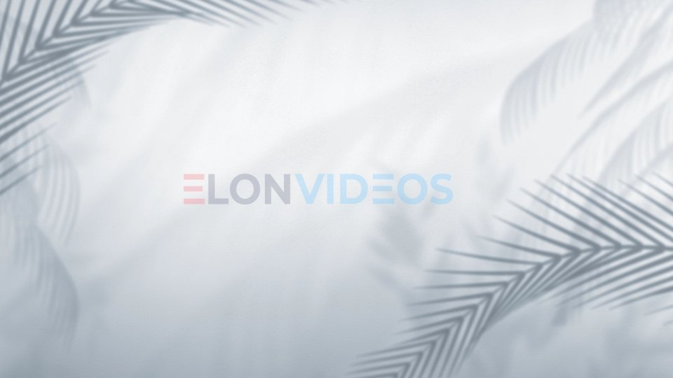 ElonVideos stock footage