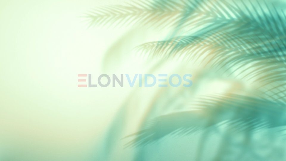 ElonVideos stock footage
