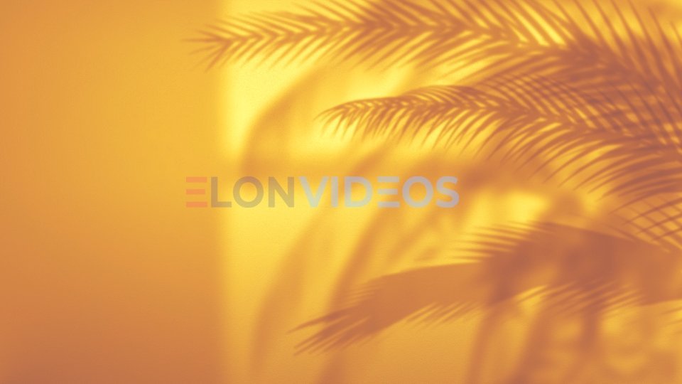 ElonVideos stock footage