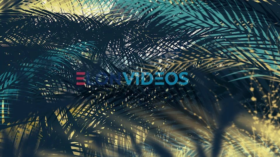 4K Palm Tree Leaves on Wall Background - stock footage preview
