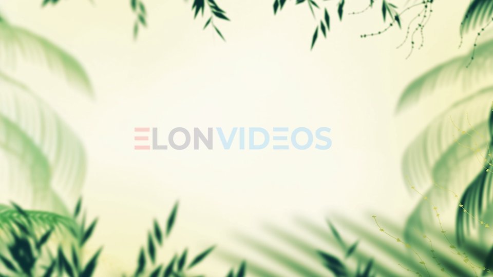 ElonVideos stock footage