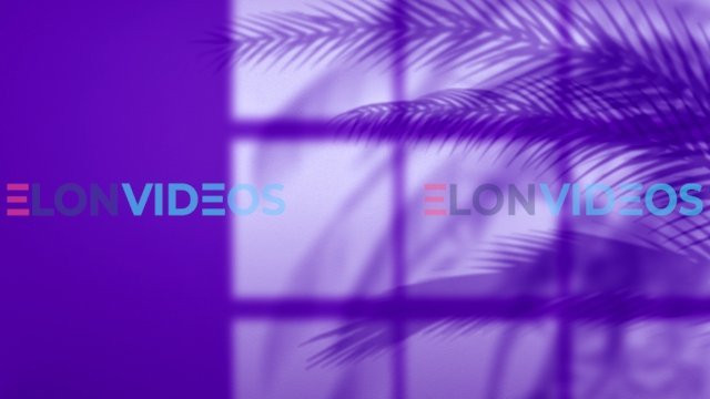 ElonVideos stock footage