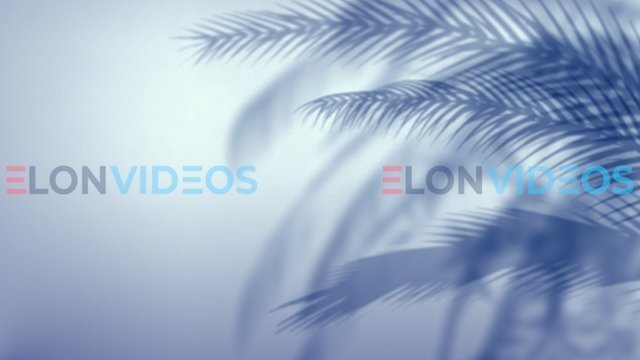 ElonVideos stock footage