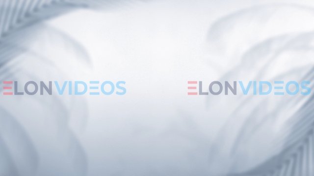 ElonVideos stock footage