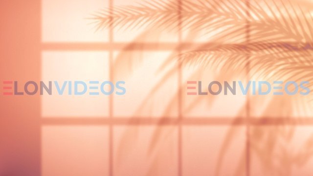 ElonVideos stock footage