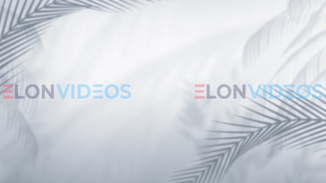 ElonVideos stock footage