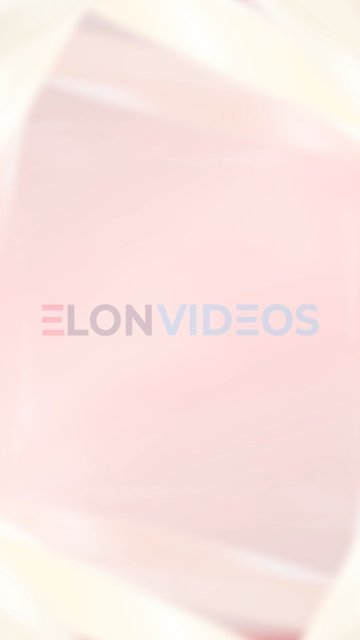ElonVideos stock footage