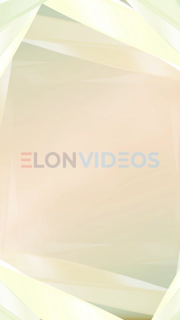 ElonVideos stock footage