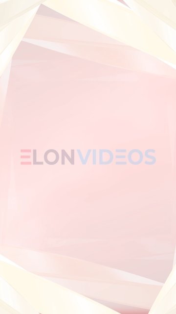ElonVideos stock footage