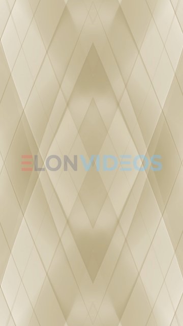 ElonVideos stock footage