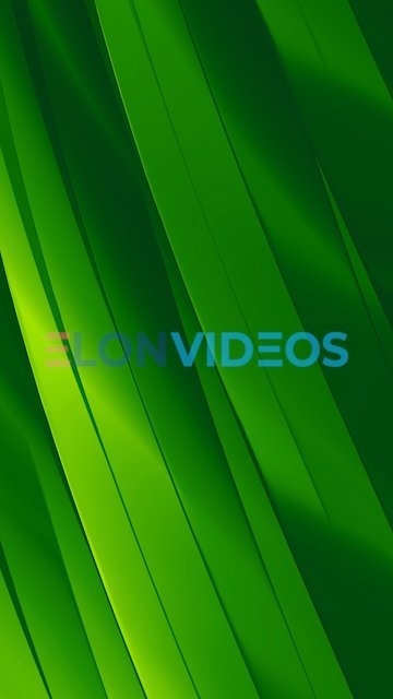 ElonVideos stock footage