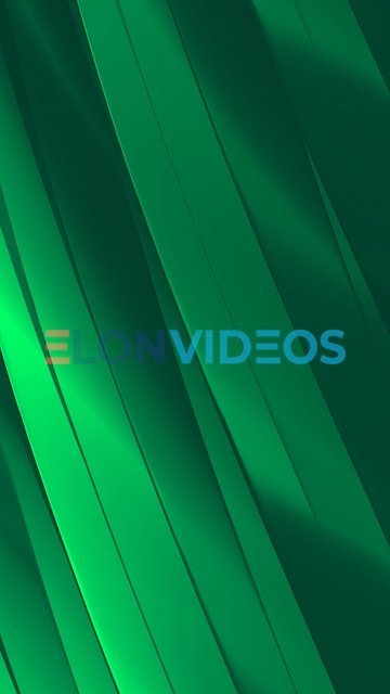 ElonVideos stock footage