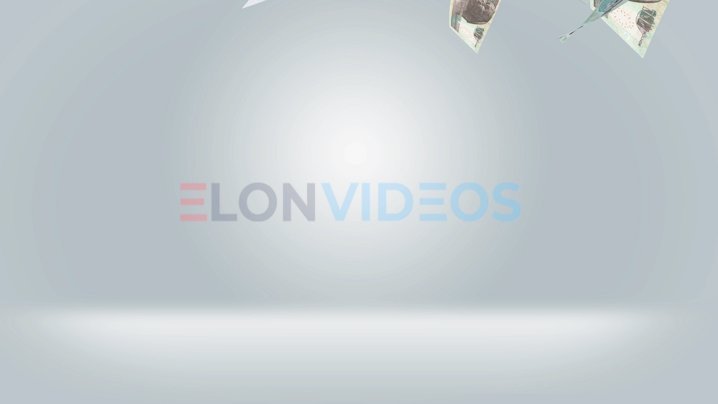 ElonVideos stock footage