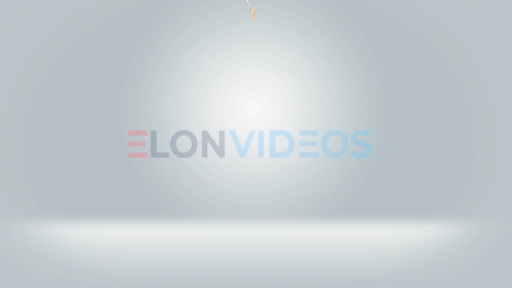 ElonVideos stock footage