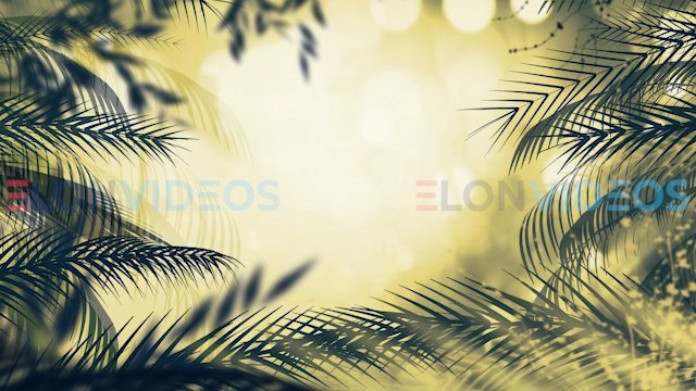 ElonVideos stock footage