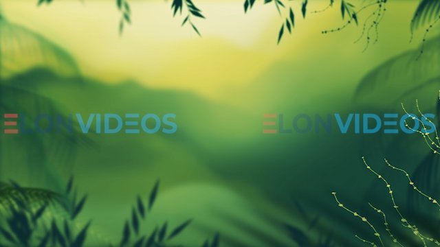 ElonVideos stock footage