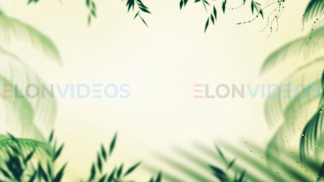 ElonVideos stock footage