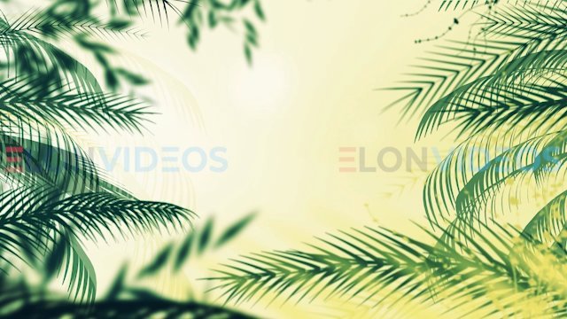 ElonVideos stock footage