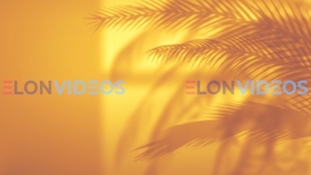 ElonVideos stock footage