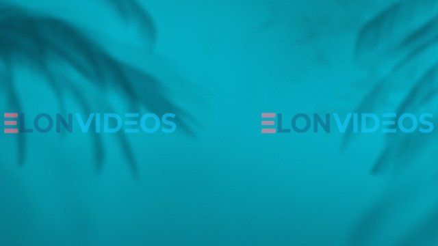 ElonVideos stock footage
