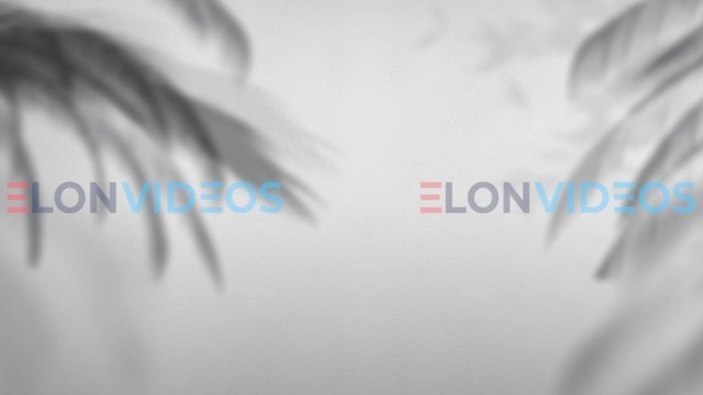 ElonVideos stock footage