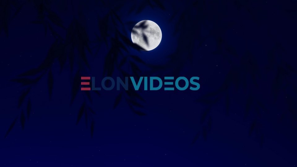 ElonVideos stock footage