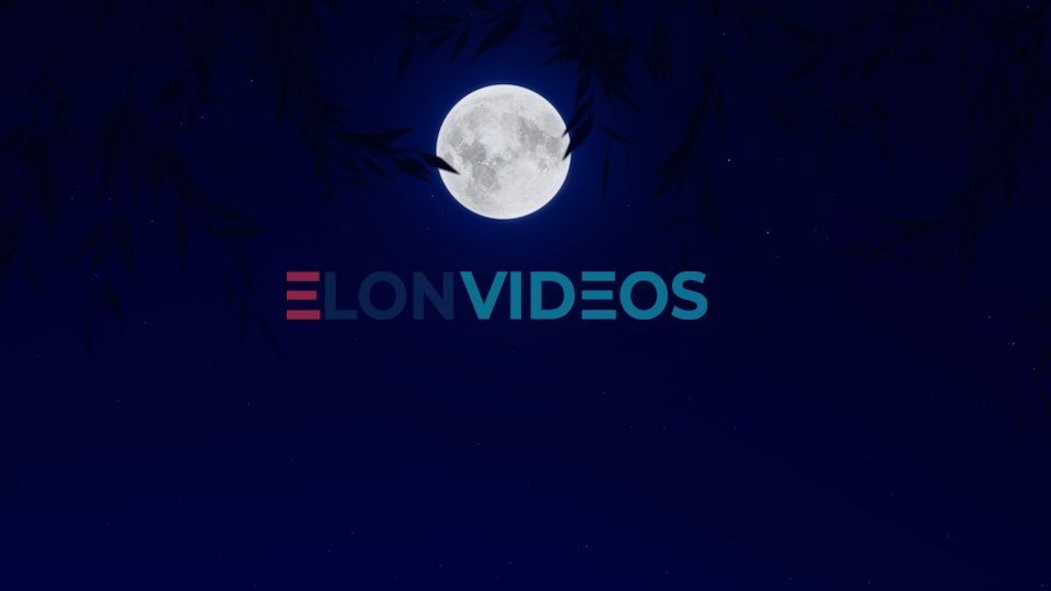 ElonVideos stock footage
