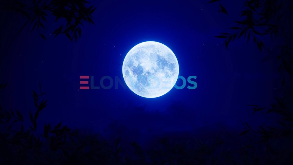 ElonVideos stock footage