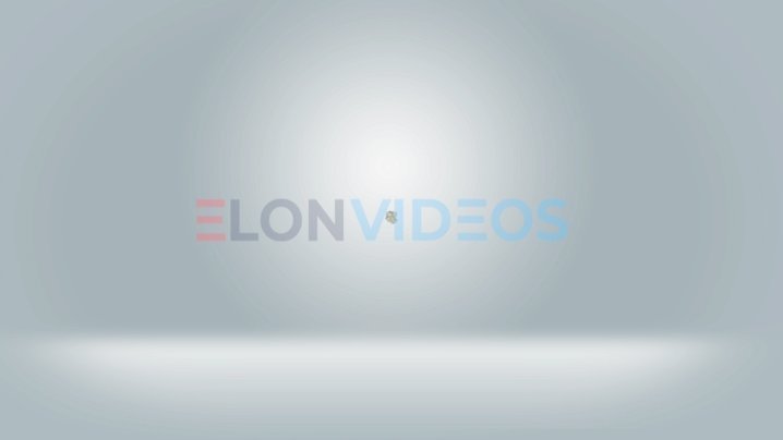 ElonVideos stock footage
