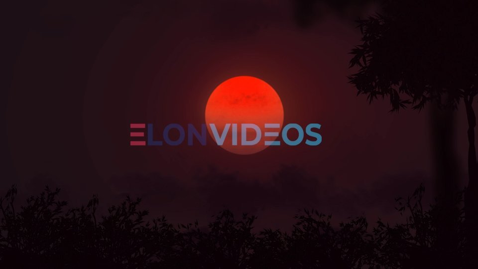 ElonVideos stock footage