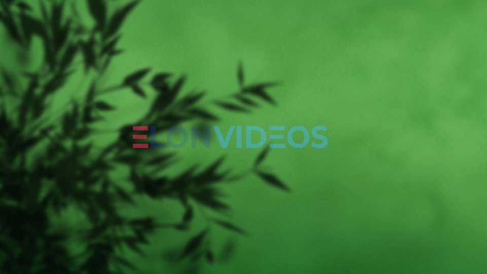 ElonVideos stock footage