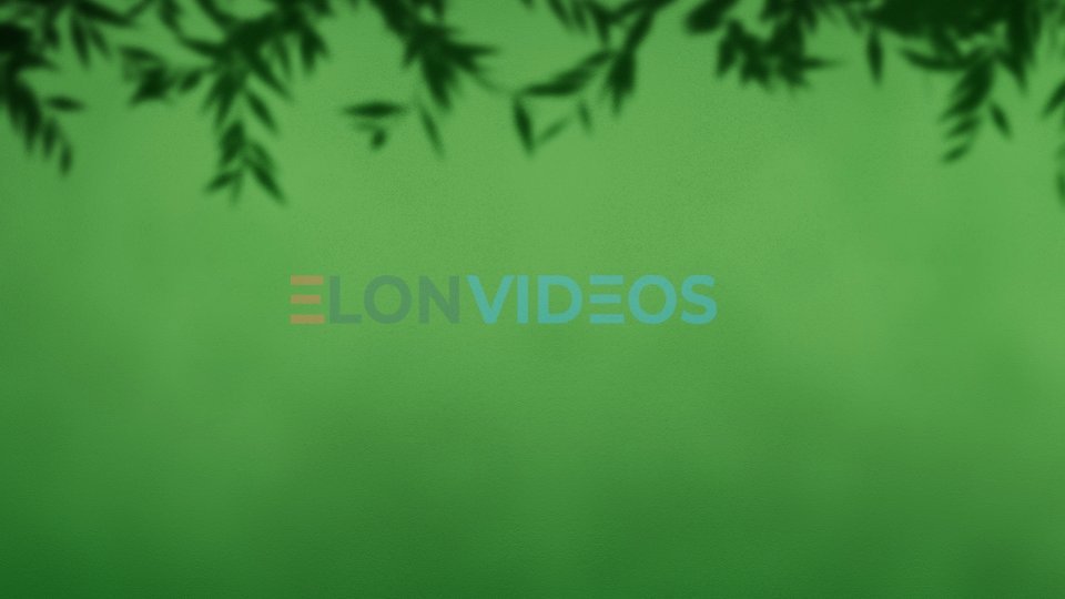 ElonVideos stock footage