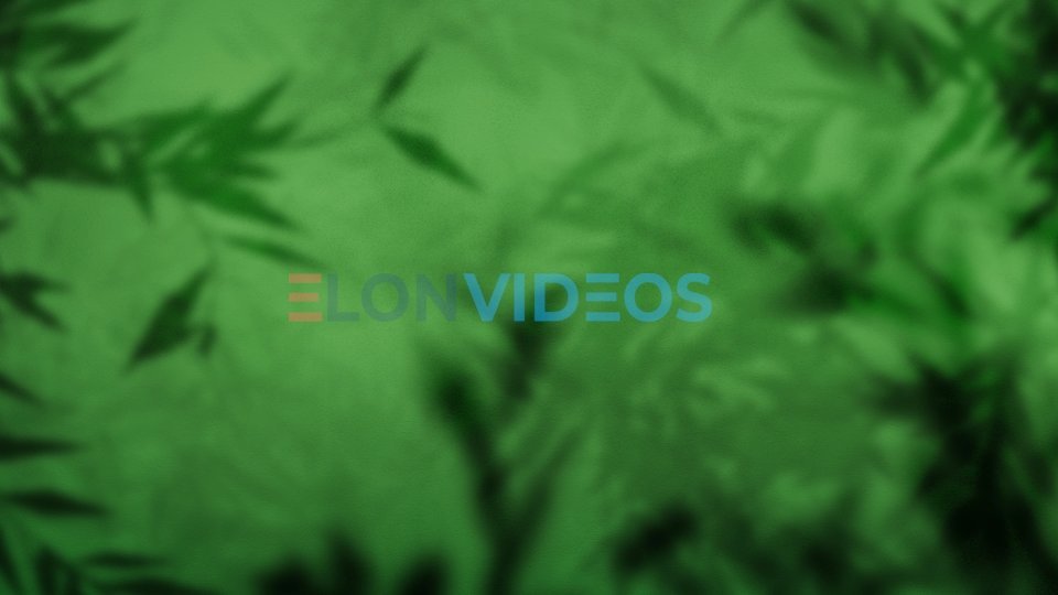 ElonVideos stock footage