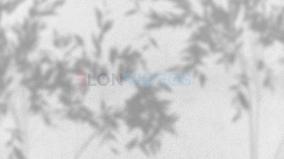 ElonVideos stock footage