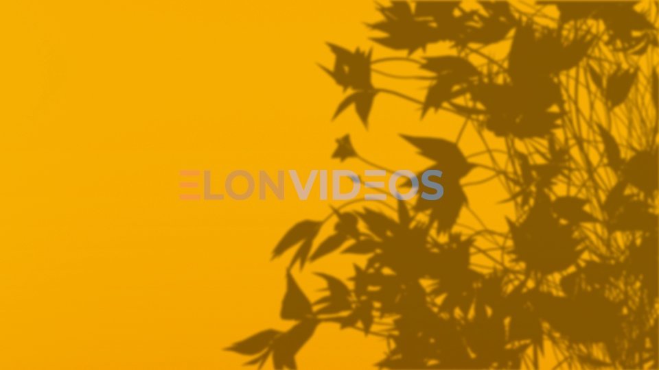 ElonVideos stock footage