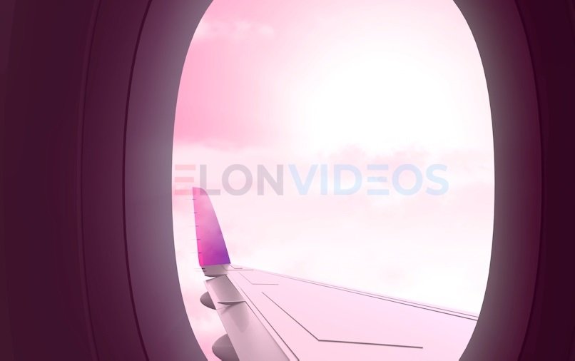 ElonVideos stock footage