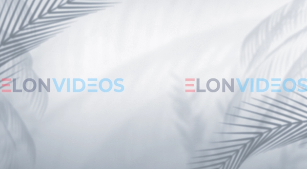 ElonVideos stock footage